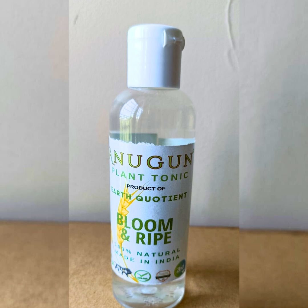 Anugun Bloom & Ripe - Image 2