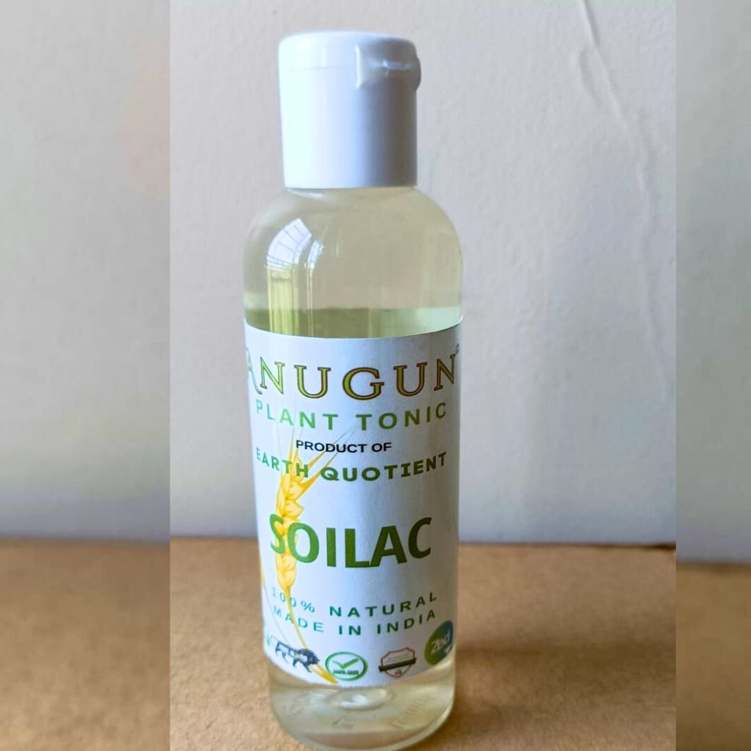 Anugun Soilac - Image 2